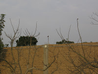 IMG_6071.JPG