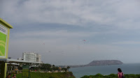 P1010094.JPG