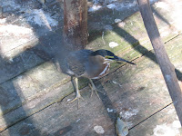 IMG_6655.JPG
