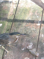 IMG_6447.JPG