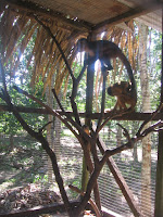IMG_6456.JPG