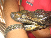IMG_6475.JPG