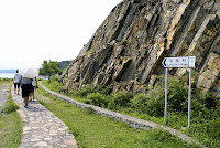 DSC06871.JPG Photo