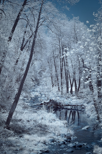 "West Fork" by Bruce Straits