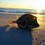 2010-02-20 Fort de Soto Sunset