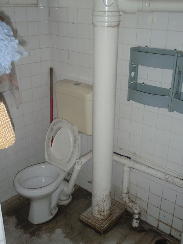 Common%20Toilet.JPG