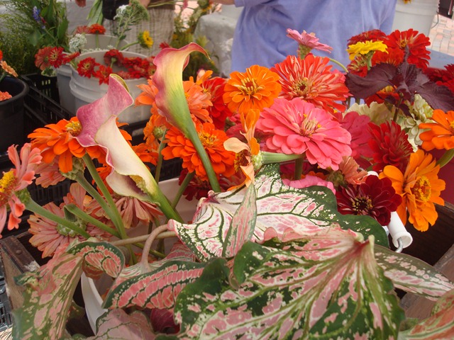 DSC06216