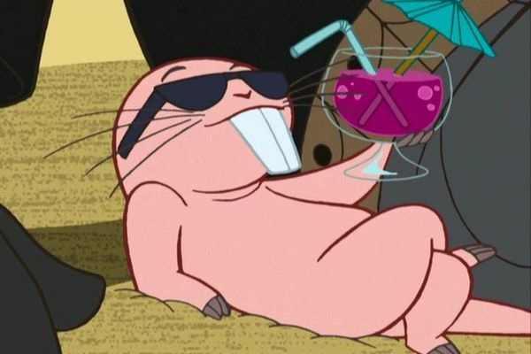 [naked mole rat[3].jpg]