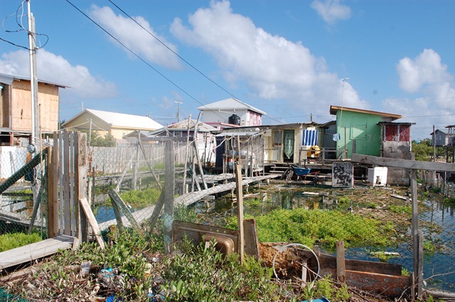[CAN YOU BELIZE IT! 758[2].jpg]