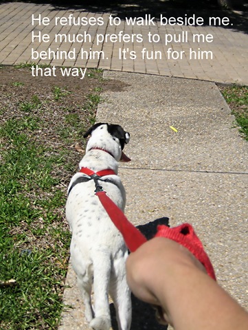 [pulling me[4].jpg]