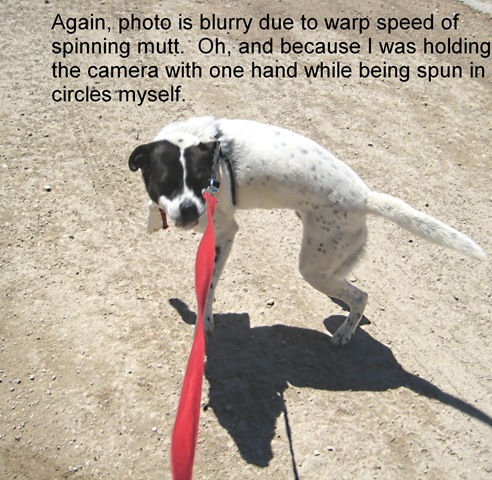 [spinning[7].jpg]