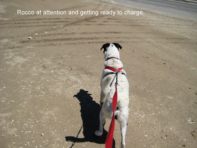 [Charge!!!![4].jpg]