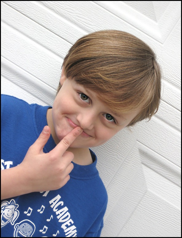 Nolan picnik