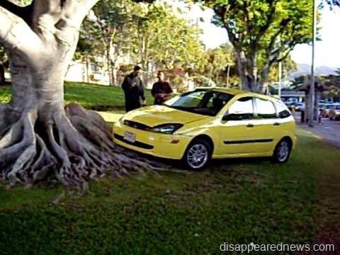 [Car meets tree[3].jpg]