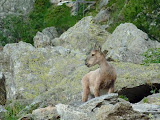P1010631.JPG
