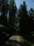 buhlenhorn_220608_kr (2).jpg