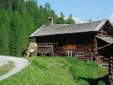 buhlenhorn_220608_kr (4).jpg