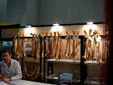 DSC05023.JPG
