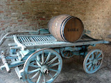 DSC05096.JPG