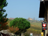 DSC05118.JPG