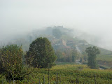 DSC05142.JPG