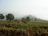 DSC05146.JPG