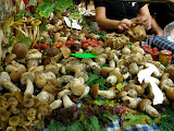 DSC05162.JPG
