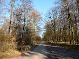 P1000392.JPG