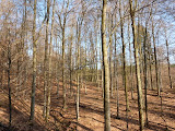 P1000406.JPG