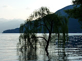 P1000647.JPG