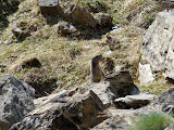 P1010484.JPG