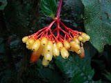 sn_18_kt (53).JPG