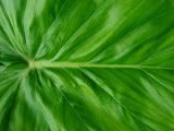 sn_18_kt (95).JPG