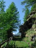 sn_apldevero_280507 (20).JPG