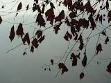 sn_asc_230208 (75).JPG