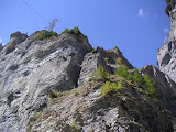 sn_gemmi_51004 (13).JPG