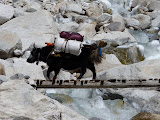 nepal_2 (943).JPG