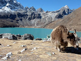 nepal_3 (622).JPG