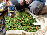 nepal_5 (139).JPG