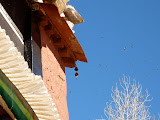 P1050699.JPG