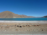 P1050862.JPG