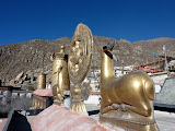 P1060143.JPG