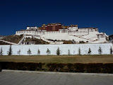 P1060186.JPG
