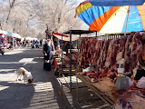 P1060361.JPG