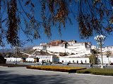 P1060294.JPG