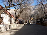 P1060337.JPG