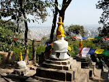 P1060773.JPG