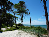 P1070774.JPG