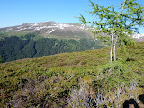 P1070733.JPG