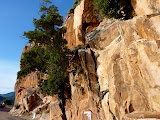 P1080020.JPG